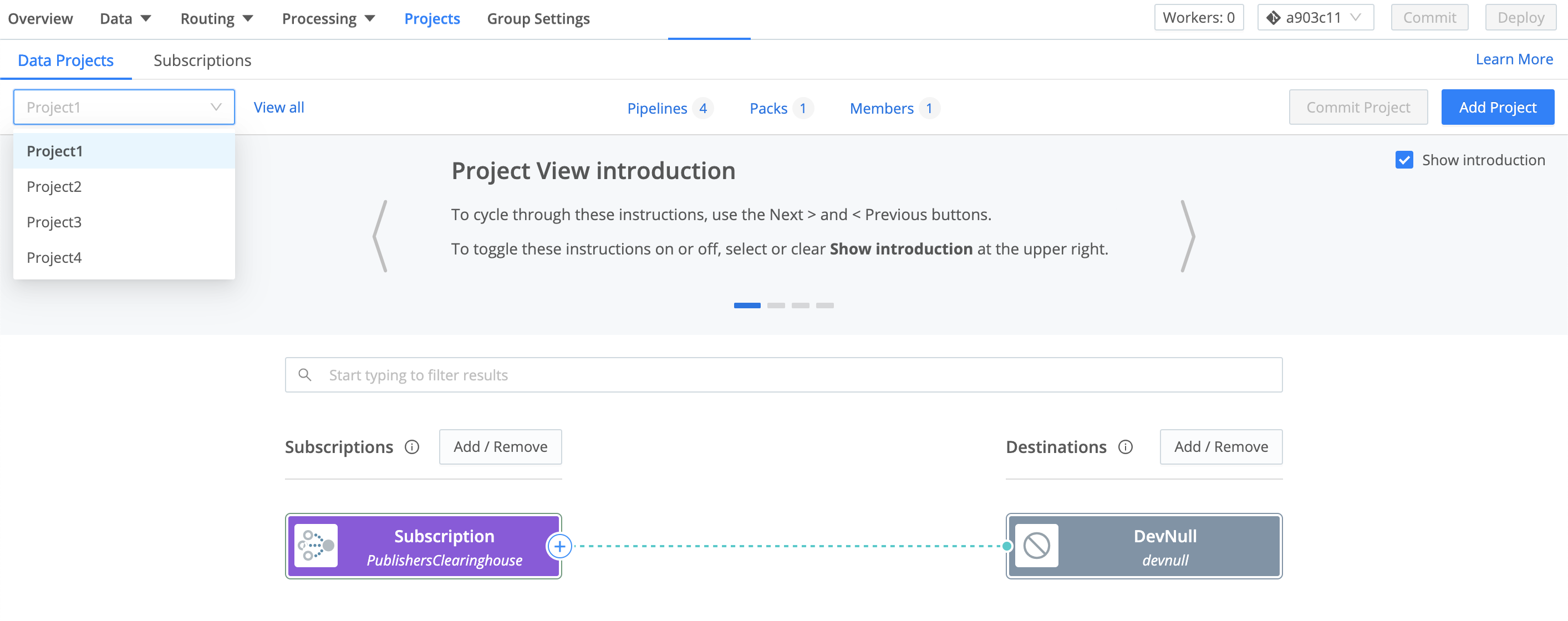Accessing the Project view