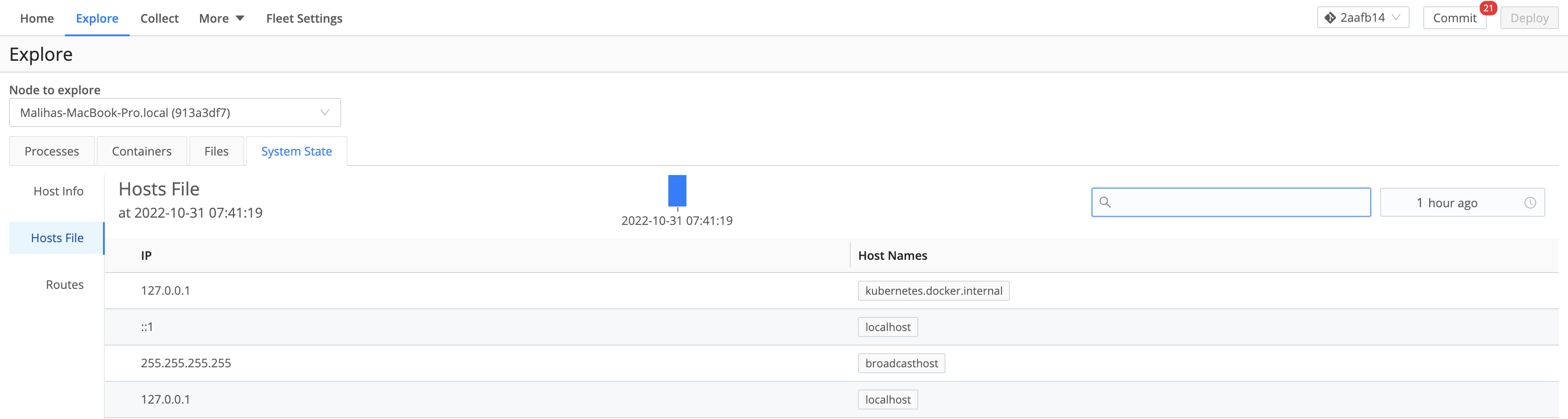 Host info/metadata collected