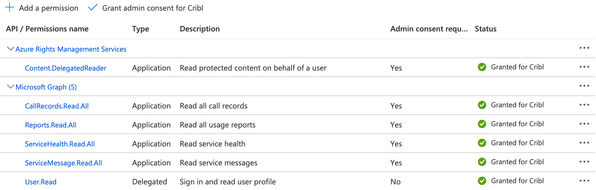Registered application permissions