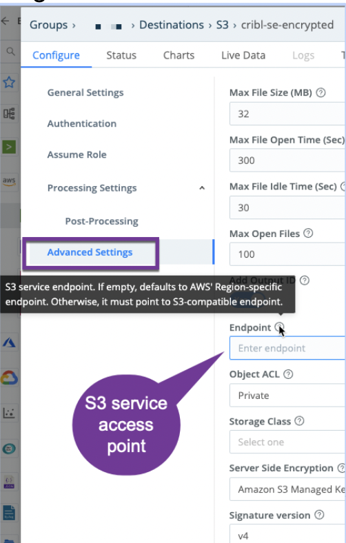 VPC Endpoint URL in the Cribl S3 Destination