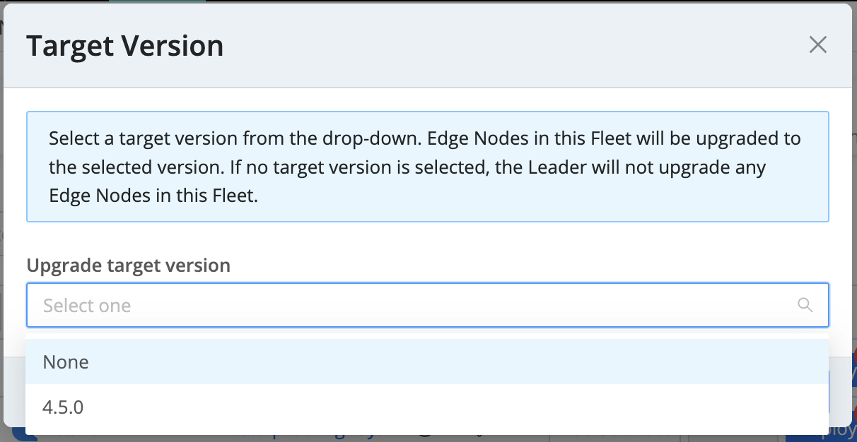 Target version window