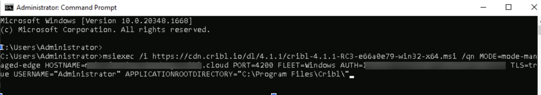 Pasting the script to the Command Prompt